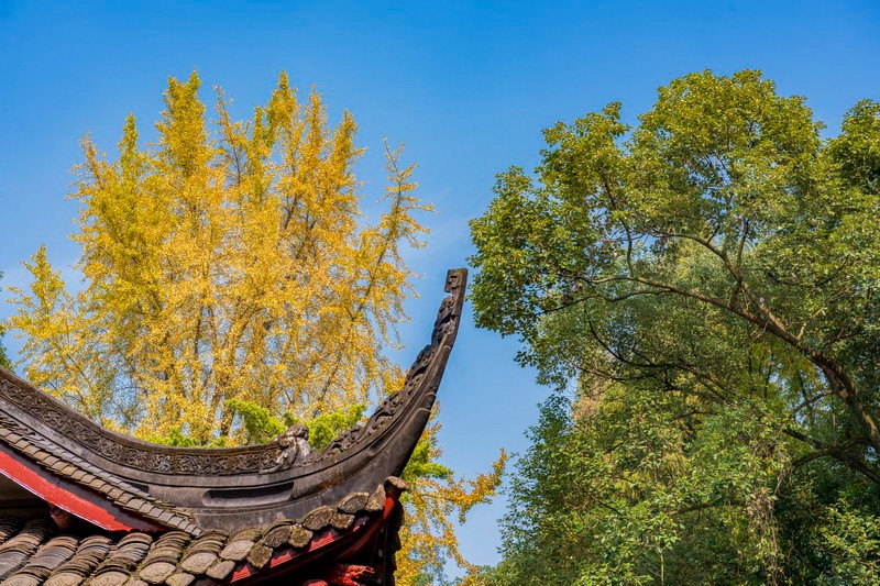 身弱八字无印最好别结婚