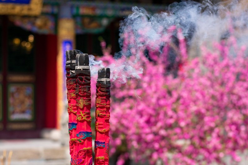不同出生年的属猴人命运分析
